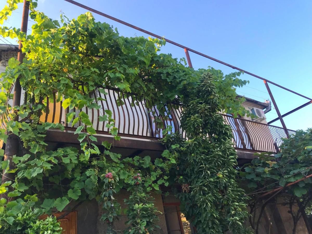 Гостевой дом Guest house Mila Сухум-23
